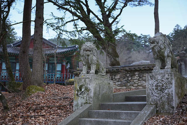 Wall Tile Installation Denver