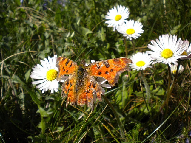 Water Damage Remediation Denver