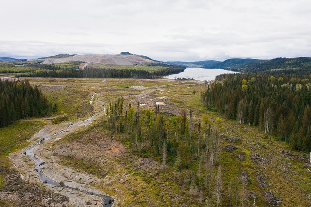 Water Damage Remediation Denver