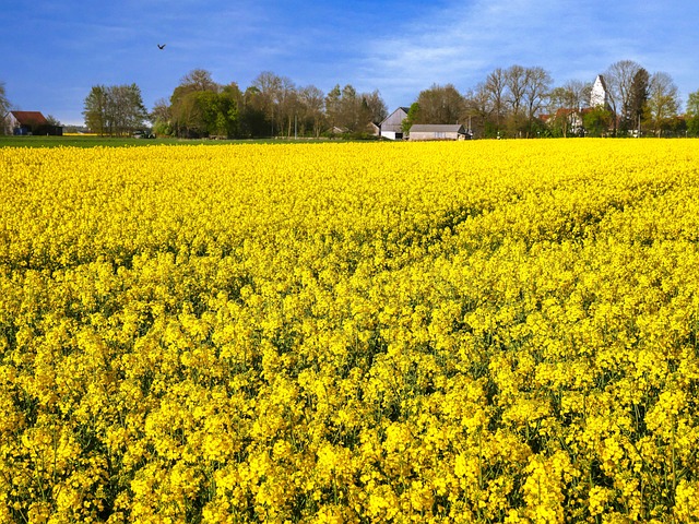 Water Extraction Denver