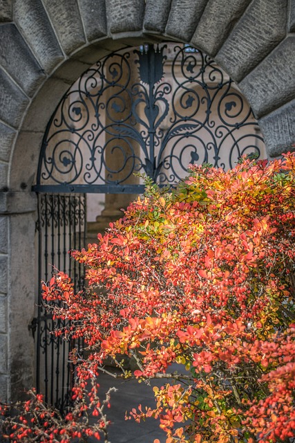 ARC Restoration Denver