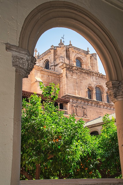 ARC Restoration Denver