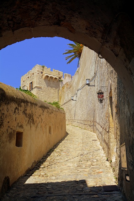 ARC Restoration Denver