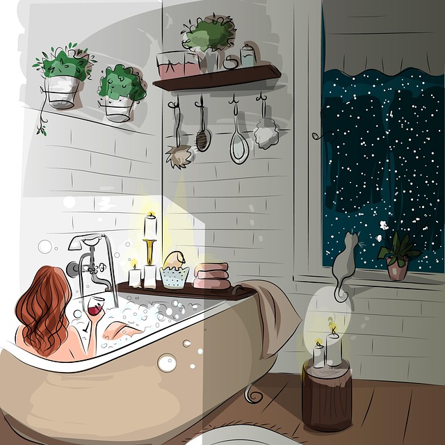 Bathroom Plumbing Arvada