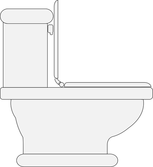 Bathroom Plumbing Arvada