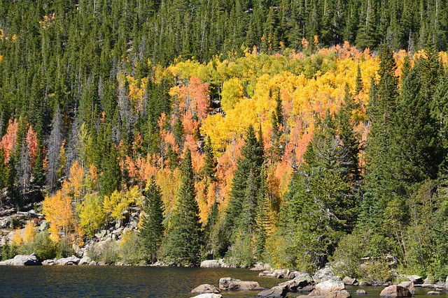 Colorado DUI Defense