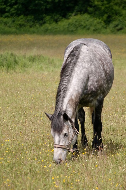 Commercial Mold Remediation Denver