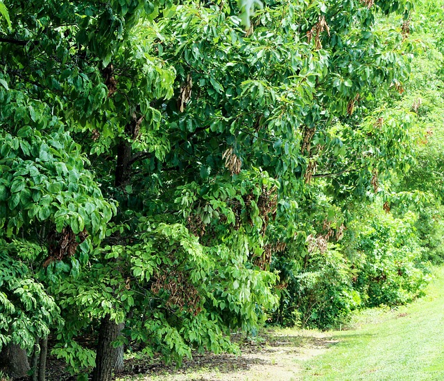 Commercial Water Damage Denver