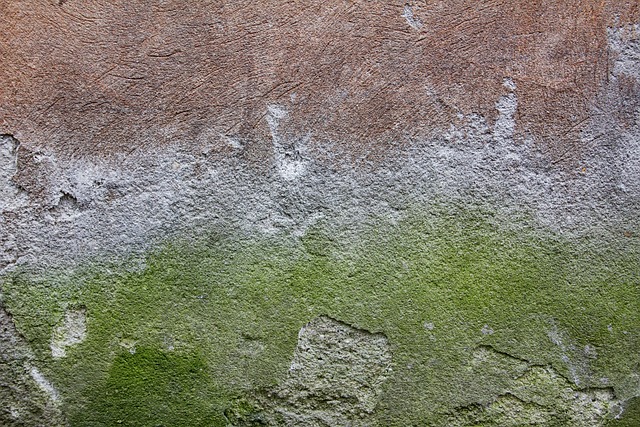 Concrete Flooring Denver