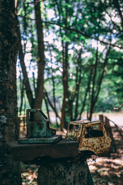 Denver Disaster Cleanup