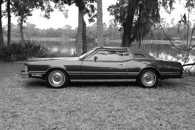 Denver Restoration Experts