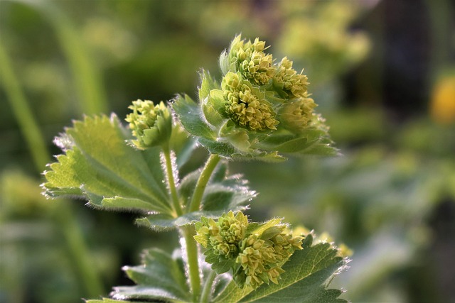 Denver Sewage Remediation