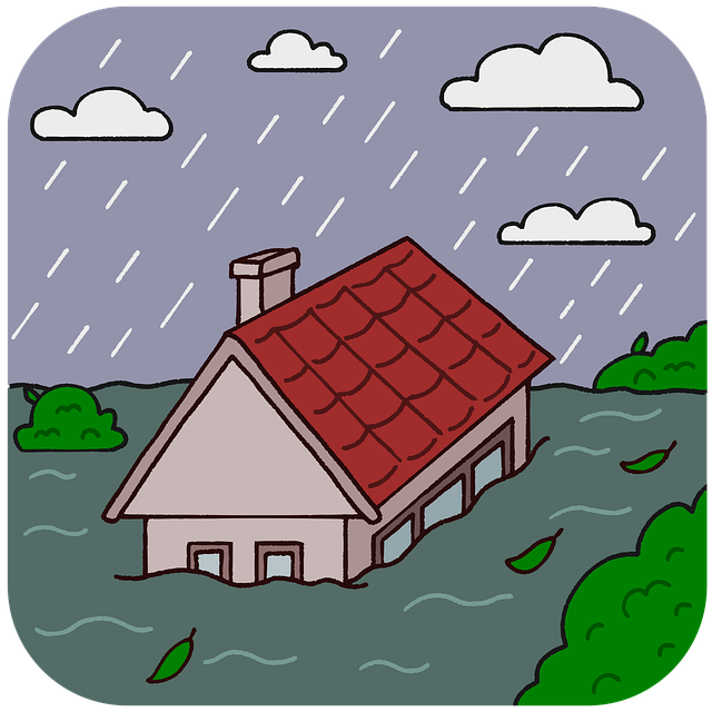 Denver Water Damage Experts