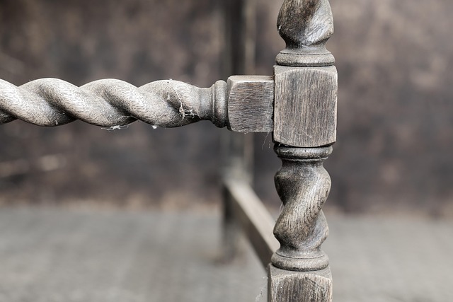 Denver Water Restoration