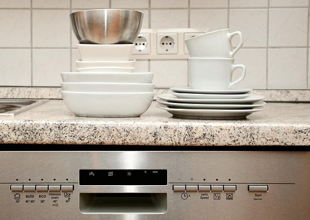 Dishwasher Installation Services Arvada