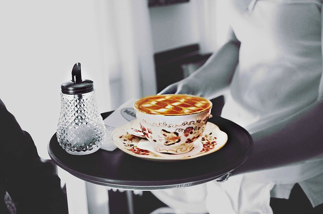 Dishwasher Installation Services Arvada