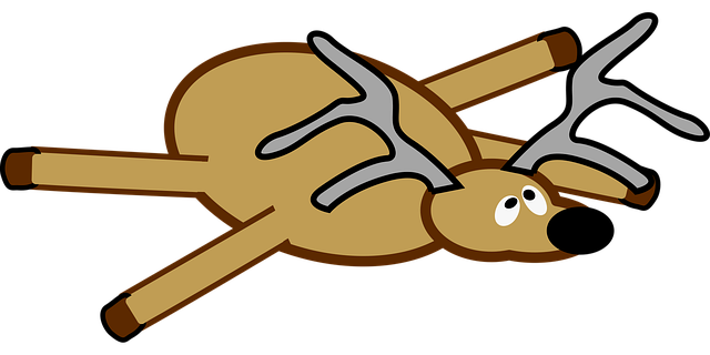 DUI Accident Lawyer Denver