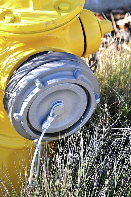 Fire and Water Restoration Denver