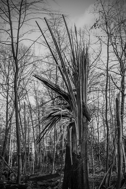 Flood Damage Repair Denver