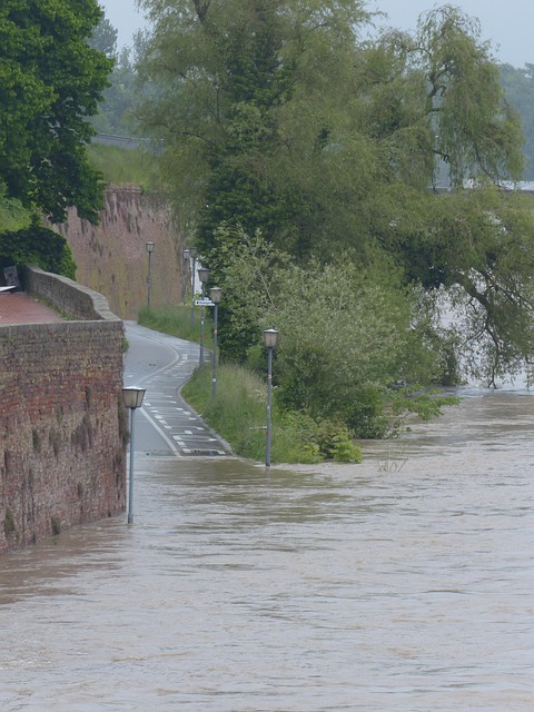 Flooded Basement Cleanup Denver