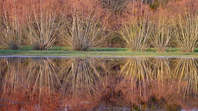 Flooded Basement Cleanup Denver