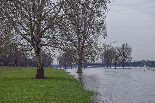 Flooded Basement Restoration Denver