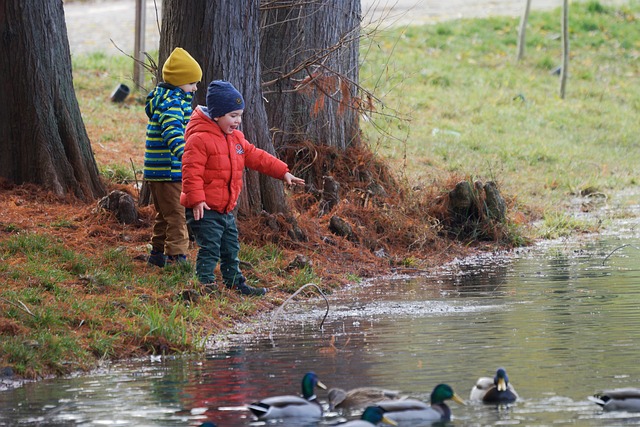 Flooring Reviews Denver