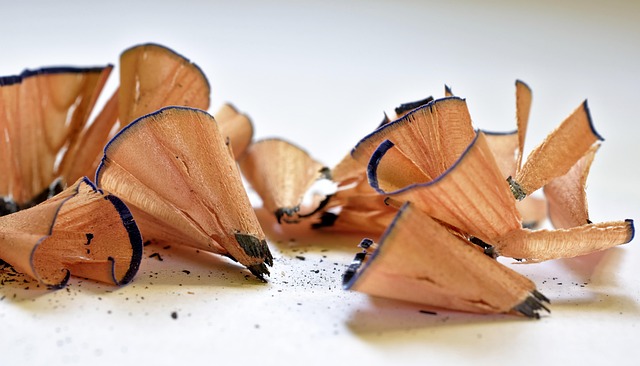 Garbage Disposal Installation Services Arvada