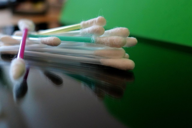 Garbage Disposal Installation Services Arvada