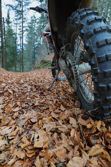 Hardwood Floor Installation Denver