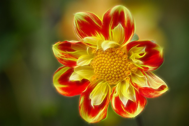 Home Water Filter Arvada