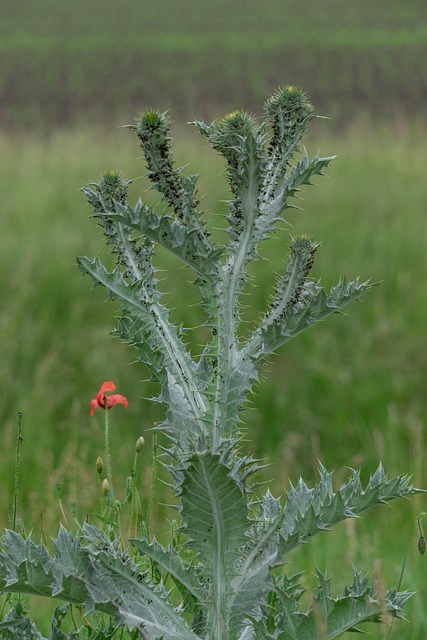 Home Water Filter Arvada