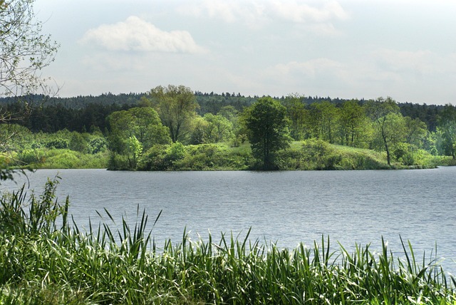 Licensed Plumber Arvada