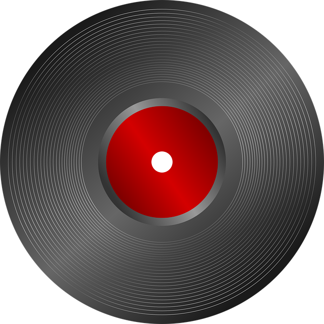 Luxury Vinyl Flooring Denver