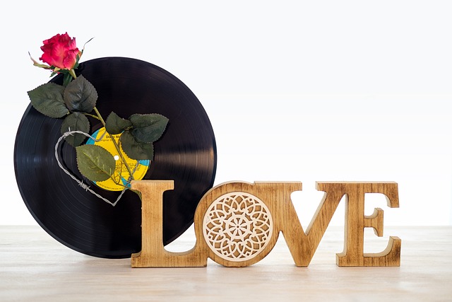 Luxury Vinyl Flooring Denver