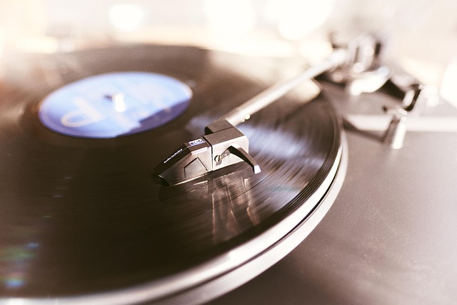 Luxury Vinyl Flooring Denver