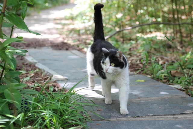 Mold Inspection Denver