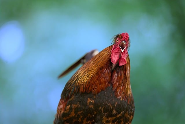 multifamily property