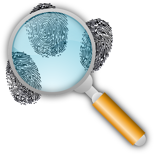 Plumbing Inspection Arvada