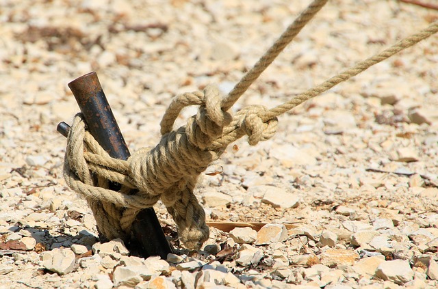 Sewage Backup Cleanup Denver