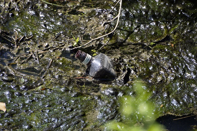 Sewage Backup Cleanup Denver