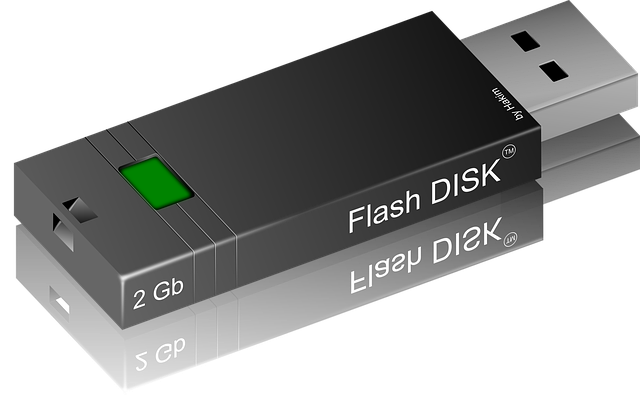 Sewage Backup Cleanup Denver