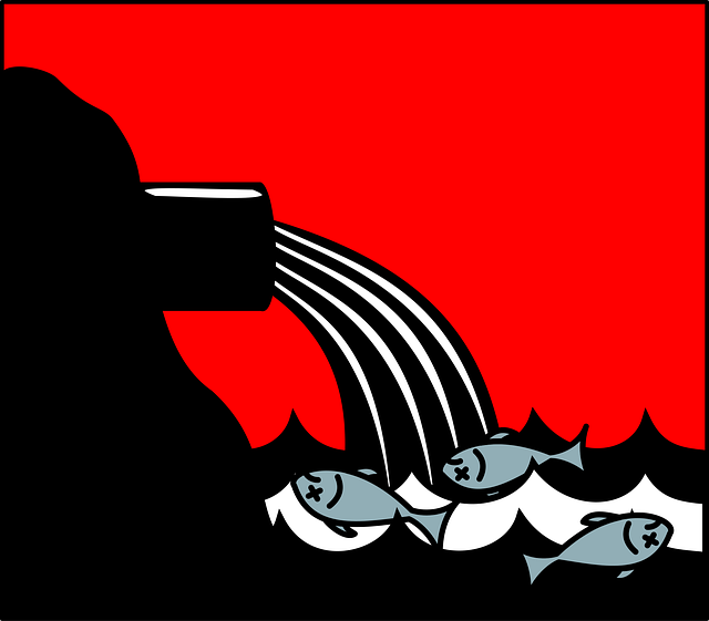 Sewage Removal Denver