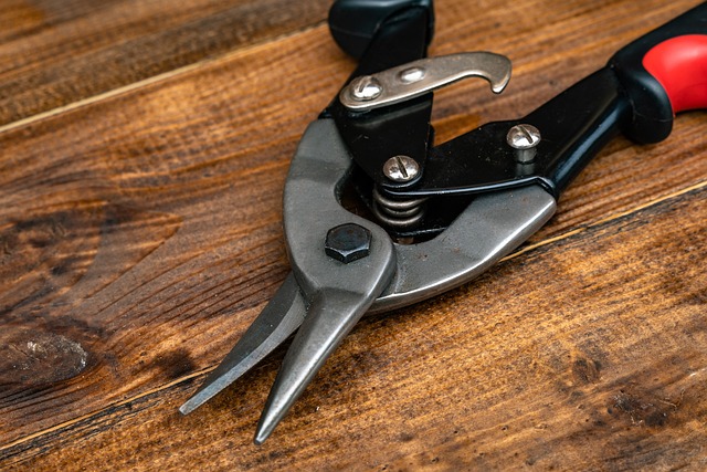 Sewer Repair Services Arvada