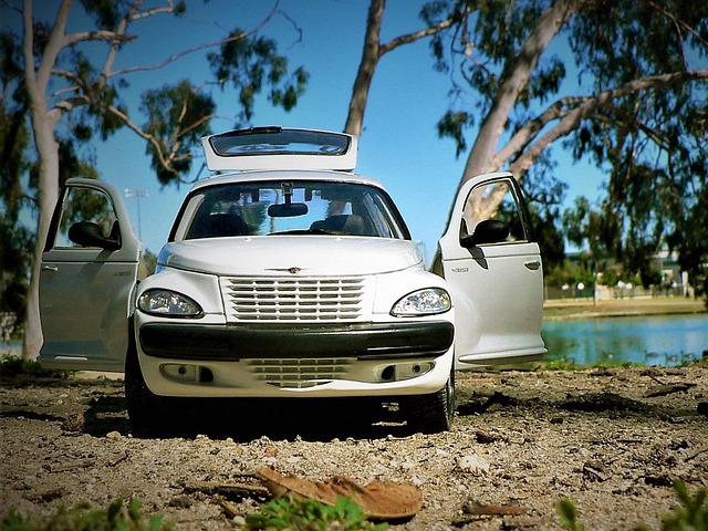 Sewer Repair Services Arvada