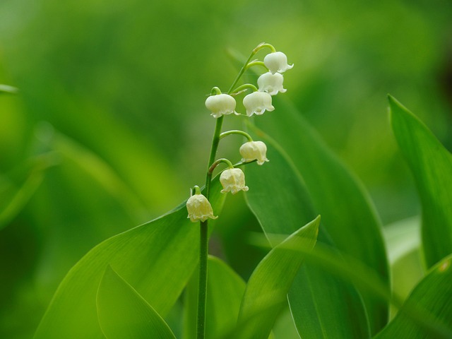 Smoke Odor Removal Denver