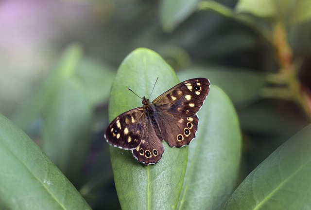 Sump Pump Installation Arvada