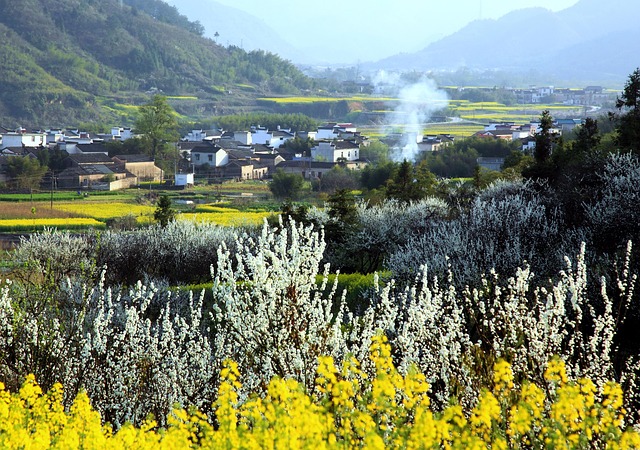 Under 21 DUI Attorney Denver