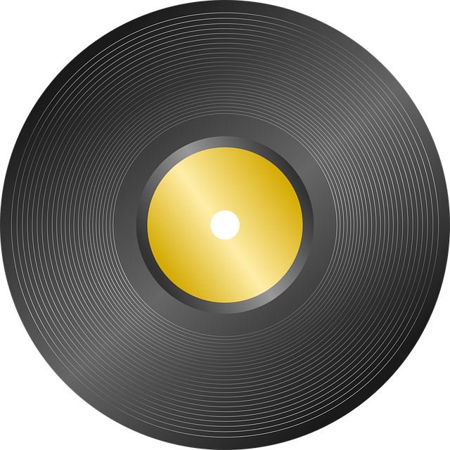 Vinyl Flooring Installation Denver