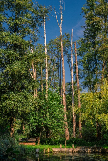 Water Damage Mitigation Denver